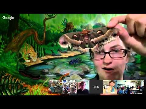 Virtual Field Trip to the Victoria Bug Zoo