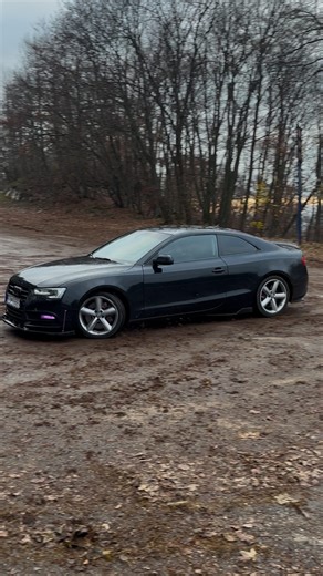 Samuel Jurkovič | Autumn Powerslides 🍁🖤💜 #audi #drifting #quattro #a5 #s5 #v6 #tfsi @misteroid_cars @300__plus @a5shadow3.0 #cars @audis.finest | Instagram
