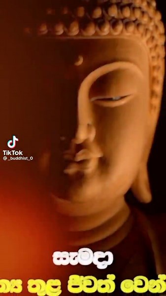 Buddis (@buddis3)’s videos with original sound - Buddis