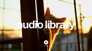 [No Copyright Music] Investigations by Kevin MacLeod · Cinematic   Bright