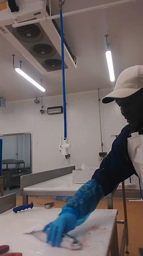 Les maquereaux......🐟🐟🐟🐟🐟🐟🐟🐟🐟🔪🔪🔪 → excellents pour le cœur, réduisent l’inflammation, aident la mémoire et la concentration. Protéines de haute qualité → utiles pour les muscles et la réparation des tissus #santé #maquereau ##omega3 #muscle #qualité #coeur #mémoire #concentration | Sadio Diab