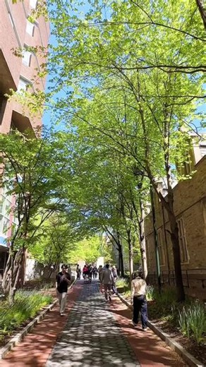 宾夕法尼亚大学，民国才才女林徽因1924年与梁世成赴美在此就读过。
