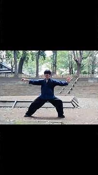 カンフー 功夫 練習【陳式太極拳 起勢〜單鞭】Kung Fu Training Chen Style Tai Chi Chuan Beginning Form-Single Whip