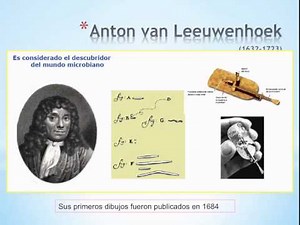 Microbiology - Introductory Class