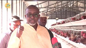 Govt waivers tax on Animal feed ingredients - Agriculture CS. Linturi. | Meru FM 88.3 Official | Facebook