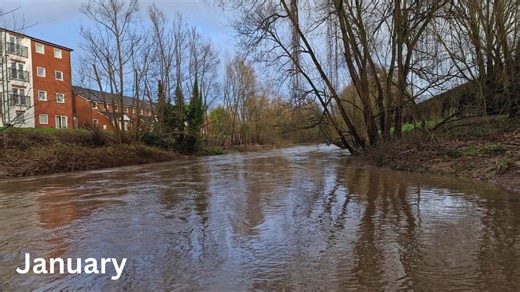 The river Dane near Roker Park in Northwich has changed through the seasons this year and Guardian Camera Club member Cathie Leather was on hand to chart the changes. At the beginning of 2025, we asked our avid amateur photographers to take a picture on the first of every month in the same location somewhere in Mid Cheshire. We had Vale Royal Drive in Whitegate, Dane Valley and Twemlow Viaduct in Holmes Chapel and Hartford Memorial Orchard as well as the river Dane near Roker Park, Northwich, th