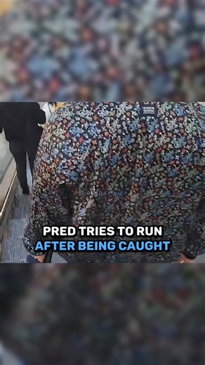 Confronting a Predator: A Caught Encounter