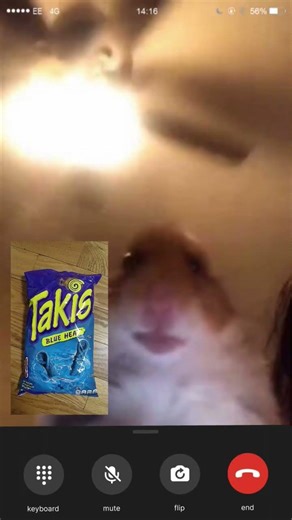 Hamster Calling Meme. #hamster #memes #call #chips