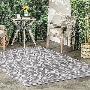 nuLOOM FAE Geometric Machine Washable Indoor/Outdoor Area Rug, 4x6, Grey