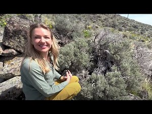 Rattlesnake Den with Adrian Slade