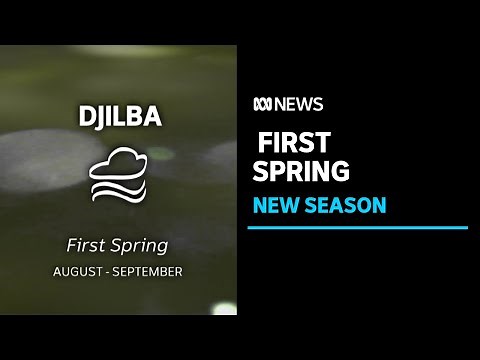 Djilba is here. and in the Noongar calendar it's a taste of better weather to come. | ABC News