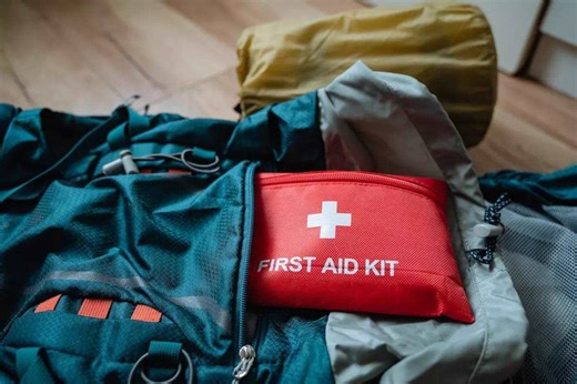 Family Camping First Aid and Survival  - Game & Fish