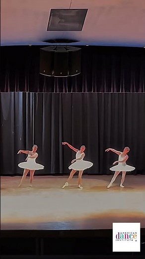 Mastering the Shades | La Bayadère 🦢The American Dance Institute