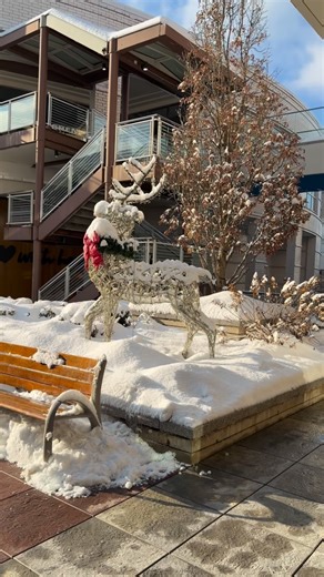 Oak brook Mall ,اوكبروك مول شيكاغو 100 Oakbrook Center Oak Brook, IL 60523 - | Chicago First شيكاغو اولاً