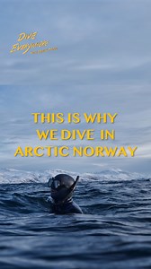 Why we dive in Norway | Daniel Mann - Dive Everywhere