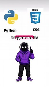 Python vs css what's the difference?