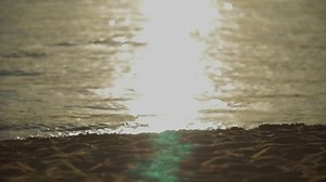 1.1K views · 23 reactions | The ultimate way to spend Spring....a Blackpool Promotions Club Inclusive Holiday! Prices from only £70pppn! Book your break online now at https://ecs.page.link/q8n1C | Blackpool Promotions | Facebook