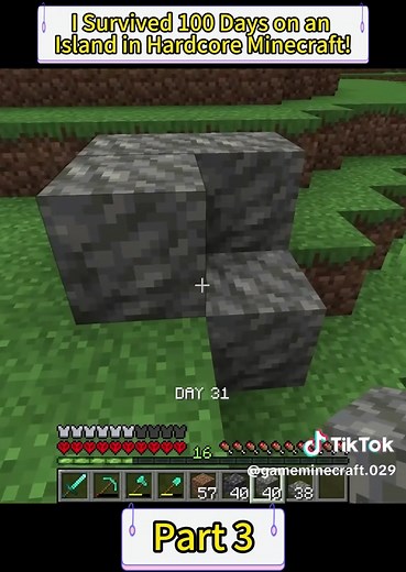 Minecraft 100 Days Island Survival: Dock and Farm Builds