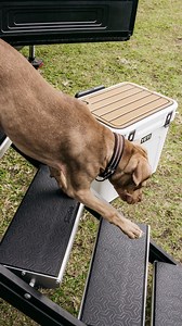 3.6K views | Comfort, style, and durability for wherever 2025 takes you ️ | SeaDek | Facebook