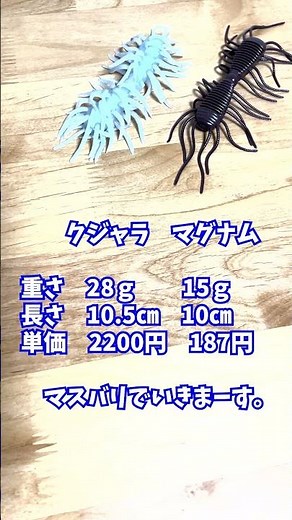 [Comparison] Comparing Kujara and Magnum 2-way.