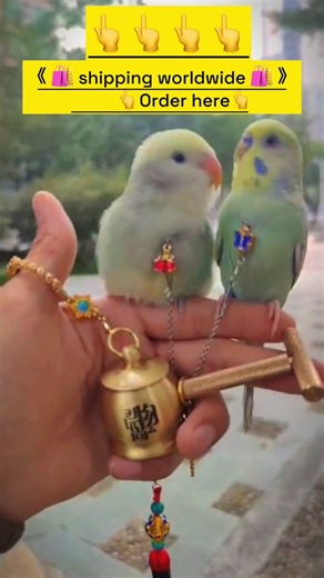 Teach you video production on TikTok