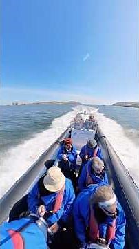 Cromarty Firth RIB Tour
