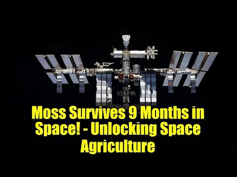 Moss Survives 9 Months in Space! - Unlocking Space Agriculture