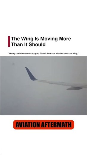 The Wing Is Moving More Than It Should