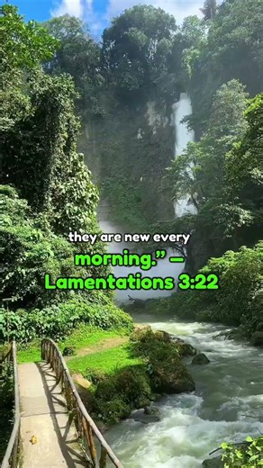 A new beginning every day 🙏✨ #Faith #BibleVerse #graceandfaith