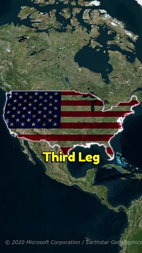 Male Water Pythons in the United States: State Rankings