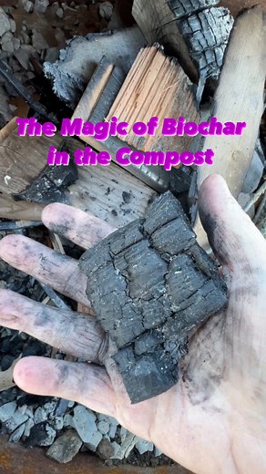 Ever heard of Biochar and its importance in the composting lifecycle? For me, it all started with a chance encounter at the thrift store, where an elder gentleman piqued my curiosity with his enthusiasm for it. He shared the fascinating history of this ancient burn and bury tradition in the Amazon and how this practice enriched the soil for centuries. Little did I know that fate would intervene when my bonfire got flooded, igniting firsthand exploration of my personal Biochar exploration. This v