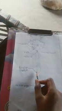 10th standard science neutron