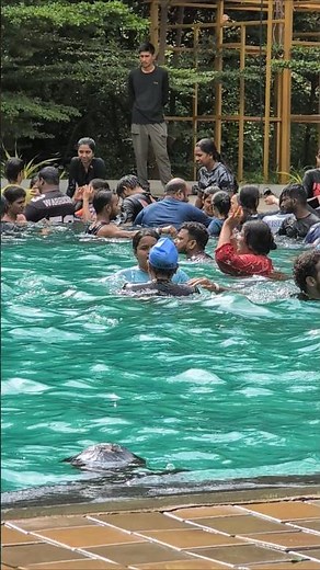 Fun & Flirty Pool Moves with Two Girls! 💦✨