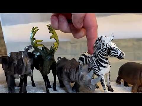 Dirty Muddy Zoo Animals Getting Washed in bubbles