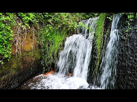 4K Incredibly Relaxing Forest Waterfall, Meditation