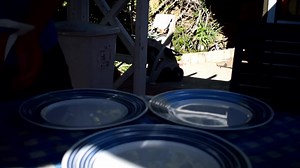 如何浪费75块曲奇？-TapL-看国外mc游戏主播实况生活秀[翻译未施工完毕][即将弃坑]