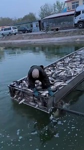 Great fishing | David Benoit