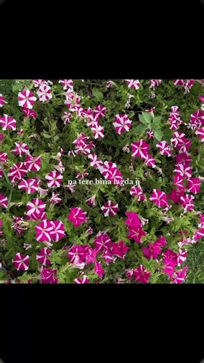 Main Tenu Samjhawan | Arjit Singh | Song Aesthetic | Lyrics Edit | WhatsApp Status| #trendingshorts​