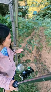 58K views · 2.7K reactions | malungay noon na tag-init pa vs ngayon na lumamig | Genive family vlogs | Facebook