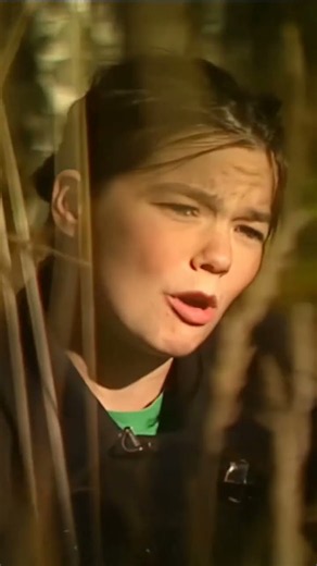 björk : talk