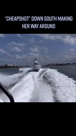 #mercury #fishinglife #boats #frontrunnerboats #florida #boatlife #fishing #engines #fyp #yessir #fullsend #boat #fypシ #like #marlin