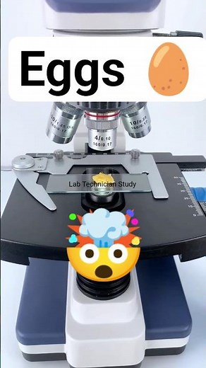 Eggs 🤯 #lab #shortvideo #shorts #viralshorts #viral