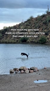 1.5M views · 242 reactions | 13 Step Plan to Become a Content Creator...