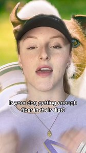 ➡️Fiber is an essential component of a dog’s diet that plays a very important role in the digestive system’s health. ➡️Although most dog food has some form of fiber, some dogs don’t have enough in their diets and need a little boost. ➡️Thankfully, there are many great sources of fiber, both soluble and insoluble. #dogster #veterinarianapproved #dogdiet #fibersource #dogs #doginfo | Dogster | Facebook