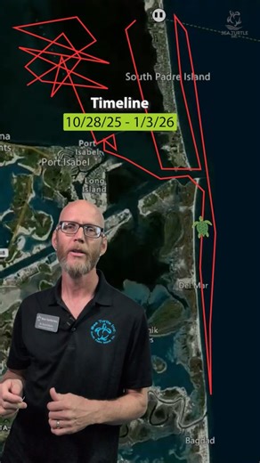 Anemone Update #2 is here! 🐢🌎✨ Watch as we dive into her latest tracking map to see where this Atlantic green sea turtle has been exploring since our last check-in. Relive the joy: If you need a feel-good moment today, you can re-watch Anemone’s beautiful release back into the ocean here: https://www.youtube.com/live/DgCaomZN1SI?si=fJikfHLeDeQm2ym7 Follow along as we continue to track her journey! 🌊 | Sea Turtle, Inc