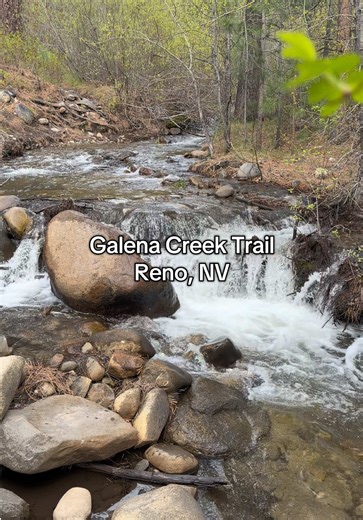Galena Creek Trail: Moderate 4.8-Mile Hike in Reno