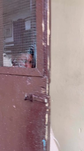 #officialjeffrey2 you need to learn how to mind your business 😂😂😂😂😂