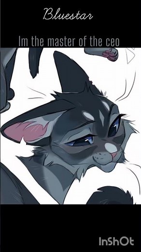 warriors lyrics matching | creds in dec | #warriorcats |