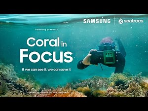 Coral in Focus | A Documentary by Samsung + Seatrees