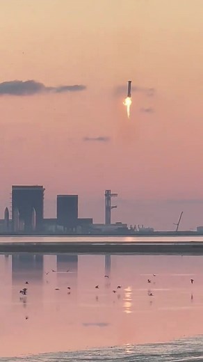 Elon Musk Reacts To Starships Booster Successfully Being Caught! #elonmusk #spacex #starship #superheavy #tesla #space #techtok #science #fyp #fypシ #fypage #foryou #foryoupage #rocket #explosion #launch